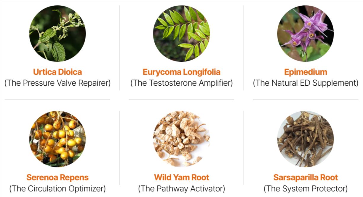 AlphaFuel Pro Ingredients