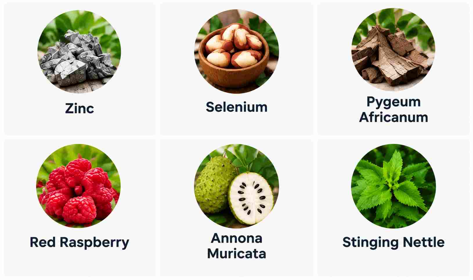 Beyond Prostate Ingredients