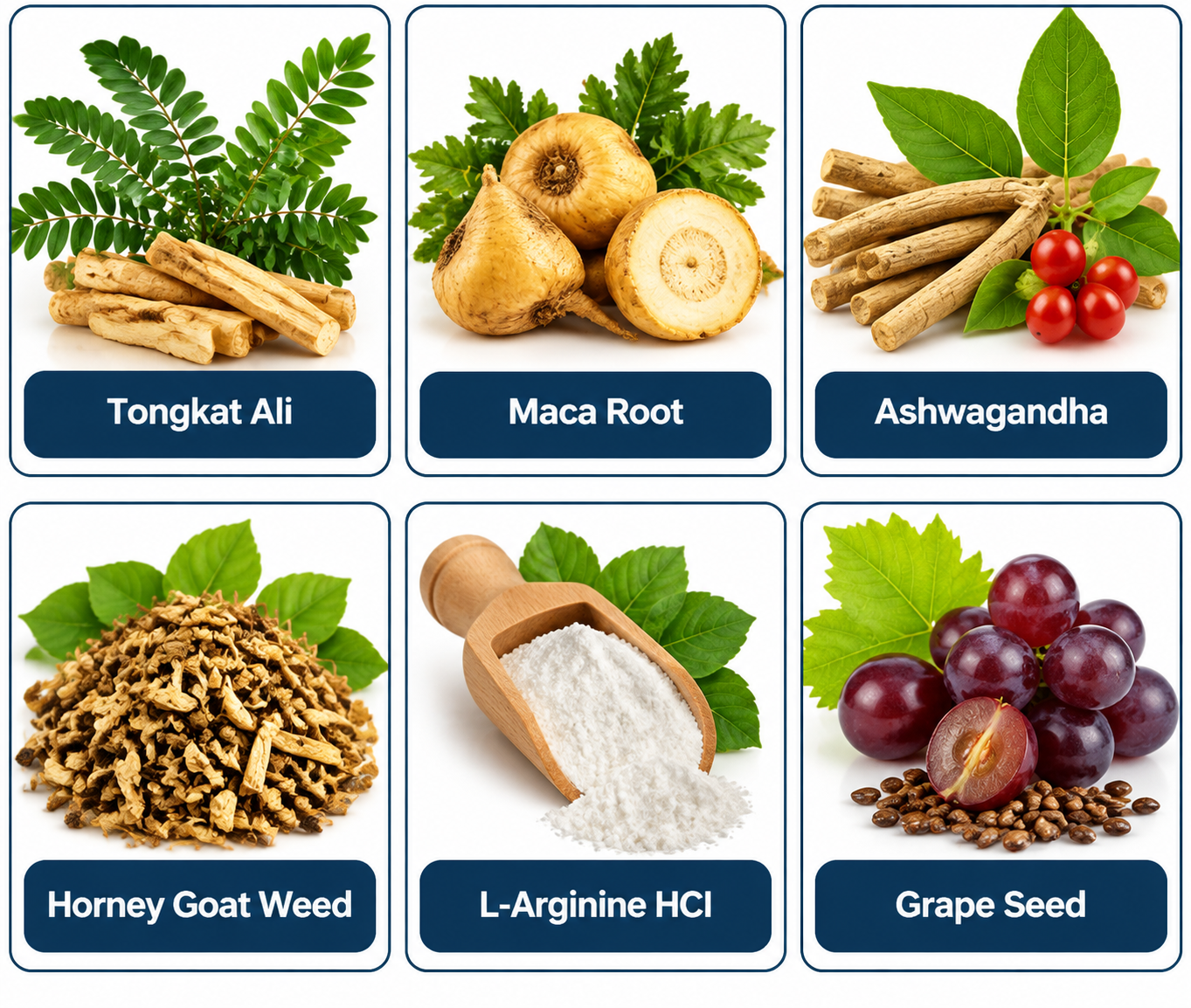 JellyBoost Ingredients